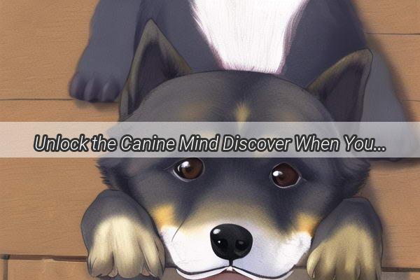 Unlock the Canine Mind Discover When Your Pup Truly Understands Your Words